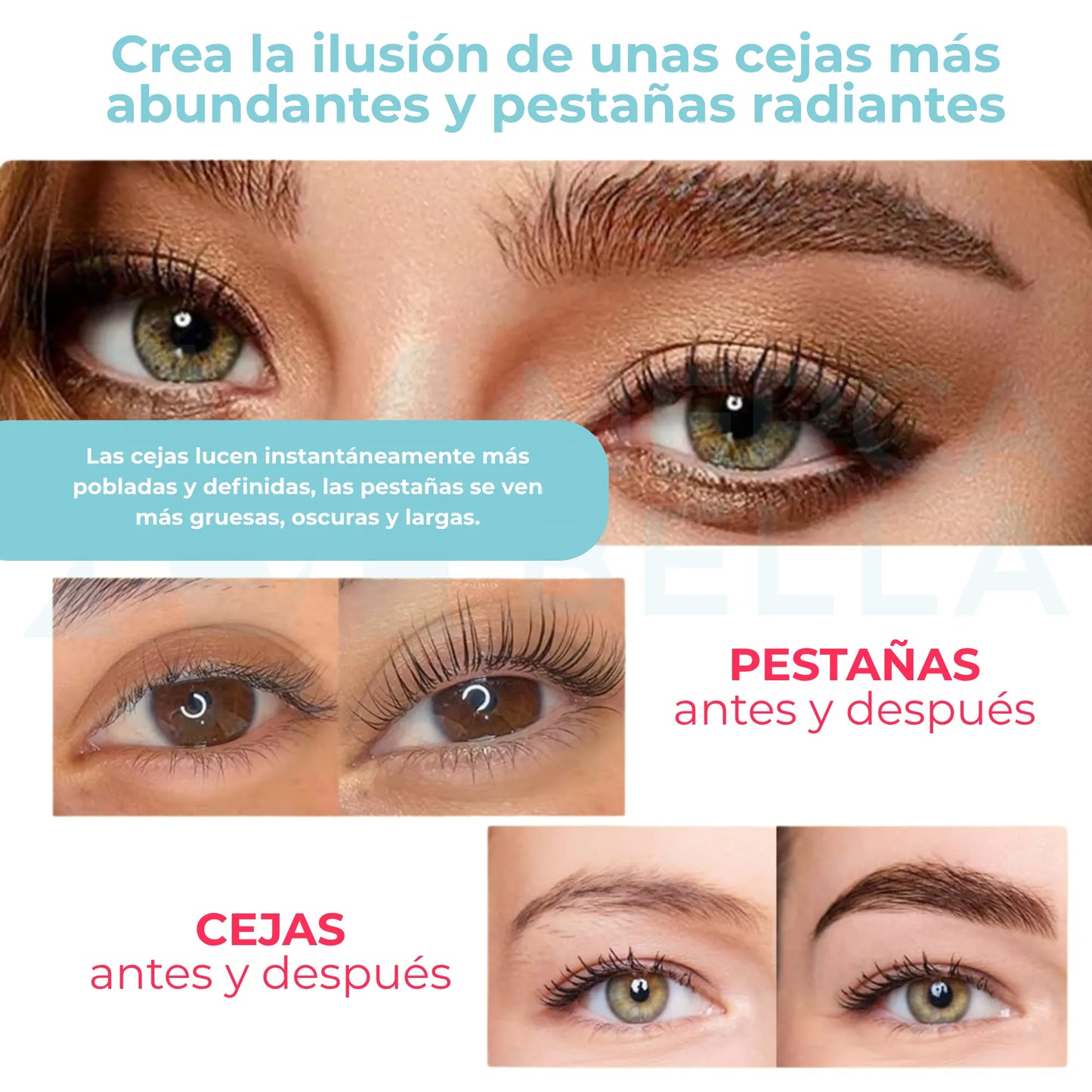 Kit de Lifting y Tinte para Pestañas y Cejas Gollee