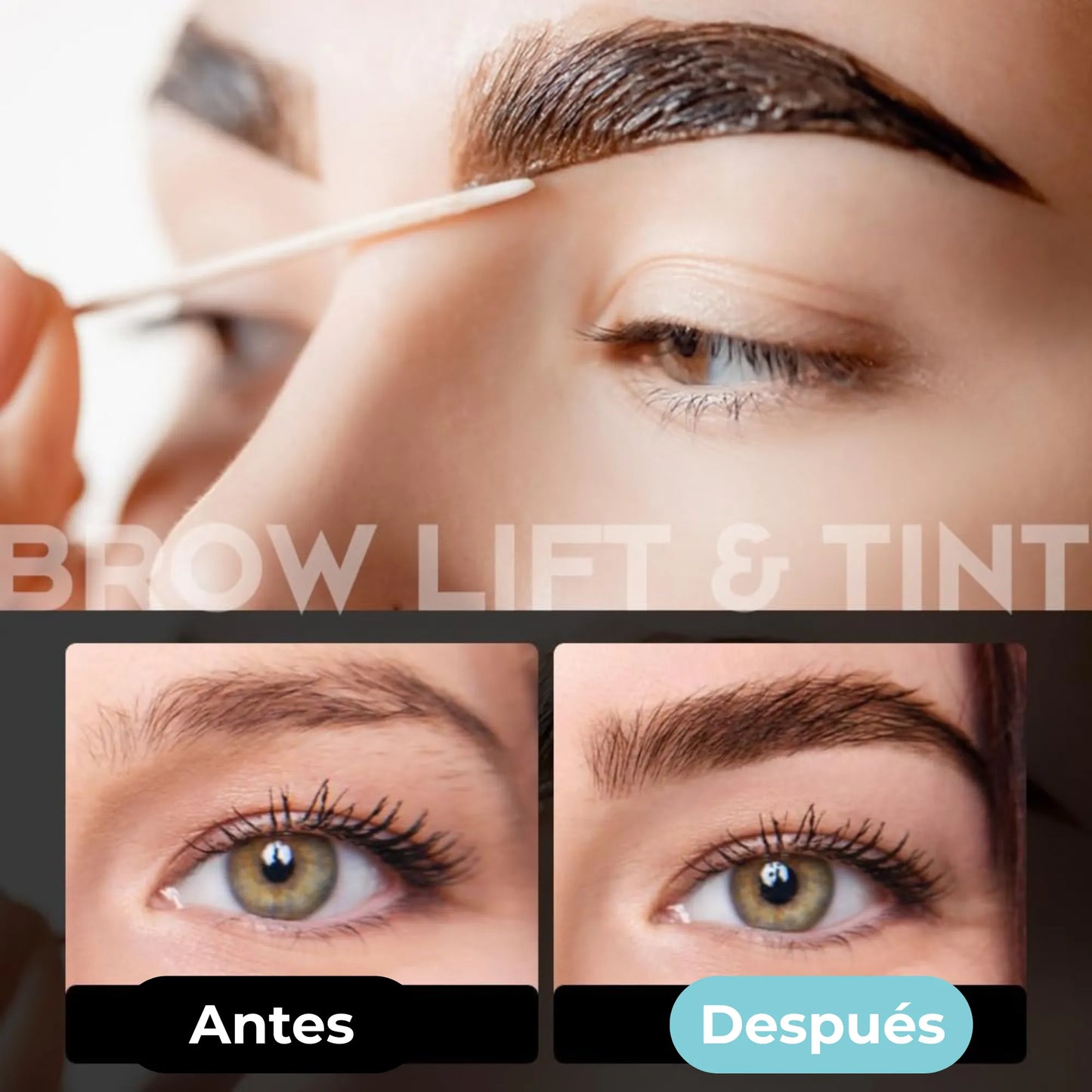 Kit de Lifting y Tinte para Pestañas y Cejas Gollee