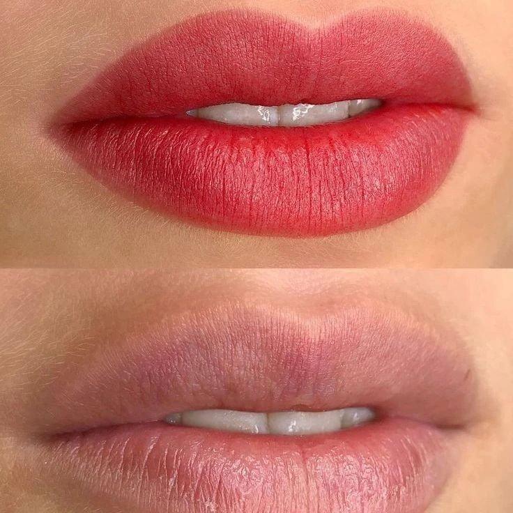 Henna para Labios 6 colores