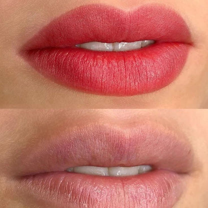 Henna para Labios 6 colores